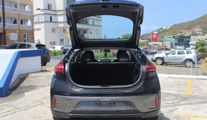 2019 Hyundai IONIQ full
